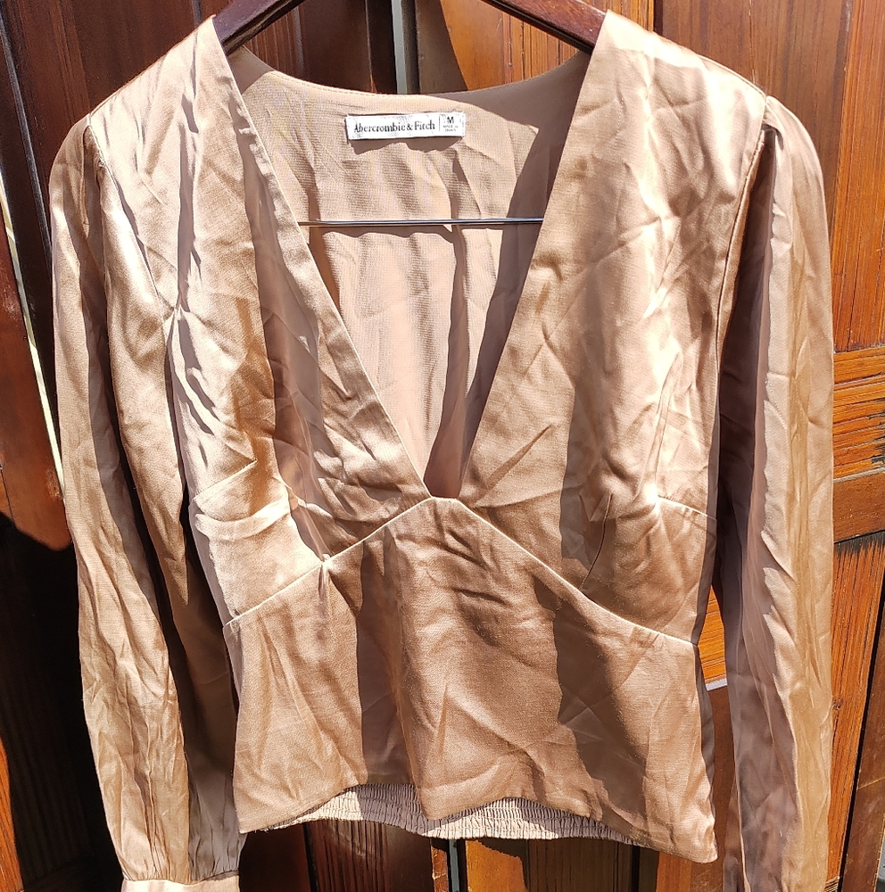 Chic Rose Gold Satiny Long-Sleeve Top by Abercrombie & Fitch Sz M
